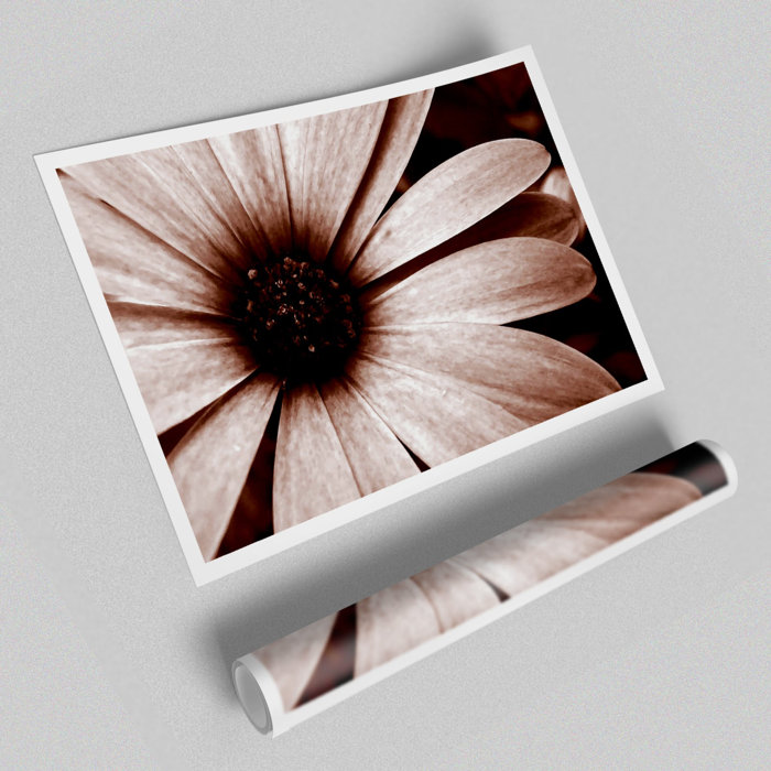 East Urban Home Poster Schokoladenbraunes Gänseblümchen | Wayfair.de